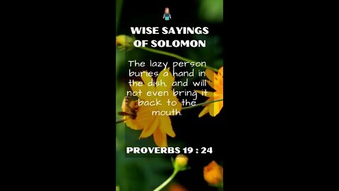 Proverbs 19:24 | NRSV Bible - Wise Sayings of Solomon