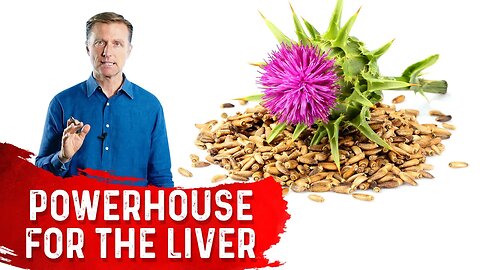 Silymarin in Milk Thistle is a Powerhouse for the Liver