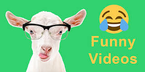 funny video | funny videos shorts
