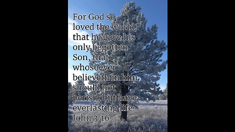 John 3:16- What It REALLY Means