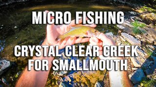 MICRO FISHING for smallmouth (my 100th video!)