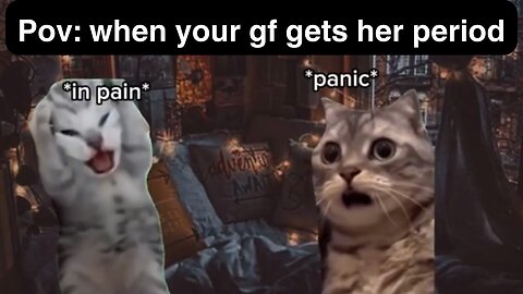 Cats meme part:19