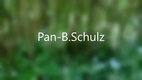 Pan - B. Schulz audiobook