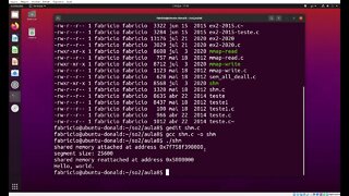 shm.c - Exemplo de Uso de Memória Compartilhada no Linux