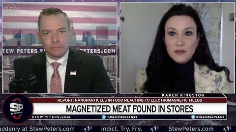 Karen Kingston - Magnetized Meat Found In Stores: NANOTECH In Food Supply