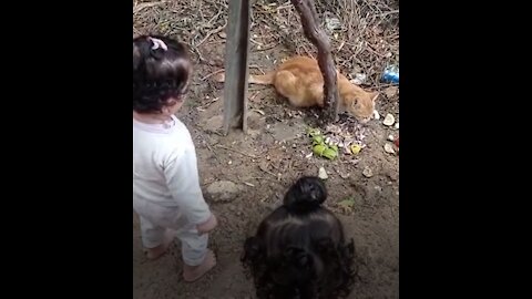 Children look at the cat while it is eating