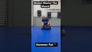 Motion Master Bag Workout Ground and Pound Hammer fist