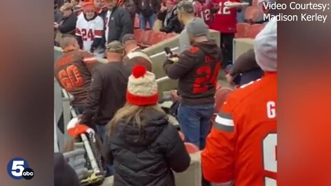 Rally Skunk found in the stands of Browns-Bucs game