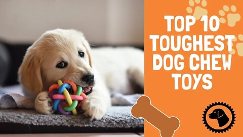 Top 10 Toughest Dog Chew Toys | DOG PRODUCTS 🐶 #BrooklynsCorner