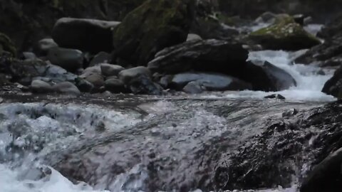 {ASMR} River Stream Water Rocks - 1 Hour Ambience Tingle Sounds For Sleep Relax Study (NO TALKING)