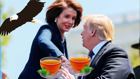 Nancy Pelosi's Tea Party 🥳 A Hagerstown Celebration!