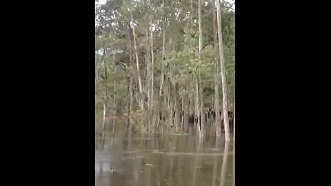 The Abyss Emerges: Unveiling the Bayou Corne Sinkhole