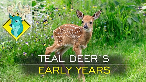 TL;DR - Teal Deer's Early Years [3/May/16]
