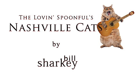 Nashville Cats - The Lovin' Spoonful (cover-live by Bill Sharkey)