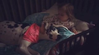 Little girl scolds Great Dane for farting on her bed