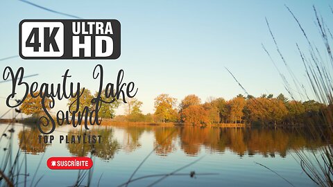 Morning Autumn Lake Forest Sound 4K Video