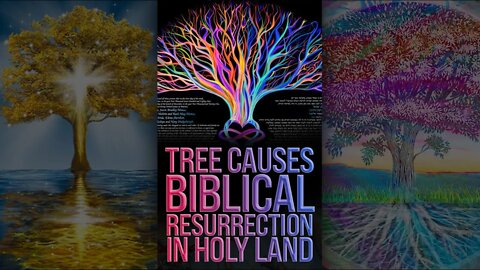 Trees Leads Biblical Resurrection in Holy Land 🌴 #shorts