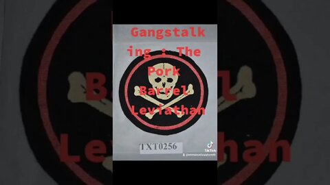 Gangstalking is a pork barrel and earmarked leviathan.