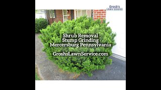 Shrub Removal Mercersburg Pennsylvania Landscape Contractor