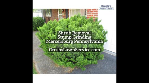 Shrub Removal Mercersburg Pennsylvania Landscape Contractor