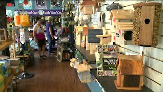 People flocking to bird watching with help of new 'bird boutique' in Greendale