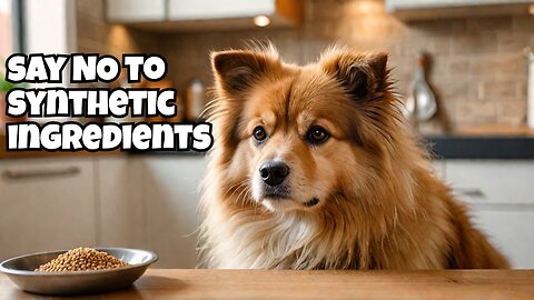 3 reasons to avoid synthetic ingredients in dog food