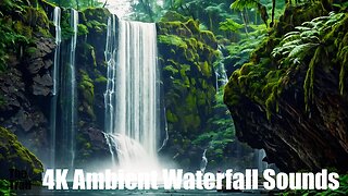 Ambient Waterfall Sounds - Pacific Northwest | (AI) Audio Reactive Realistic | Life Giving