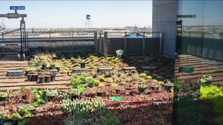 CSU Spur Campus opening food & Ag building