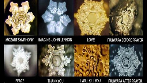 Dr. Masaru Emoto's Water Experiment