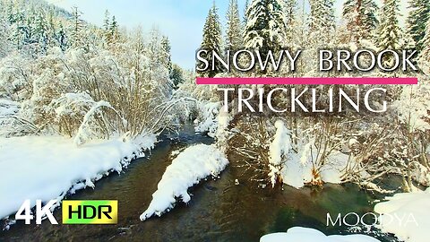 4K HDR Nature Ambience - Escape to Solace - Trickling Snowy Brook