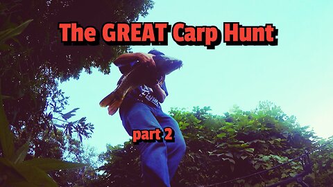 The GREAT Carp Hunt part 2