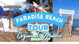 Complete Paradise Beach Tour | All Inclusive | Cozumel Mexico