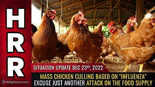 Situation Update, 12/23/22 - Mass chicken culling based on "influenza" excuse...