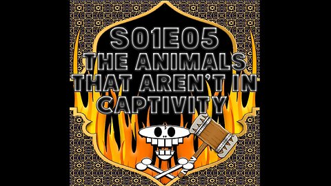 Haram of Convenience: S01E05 The Animals That Aren't In Captivity