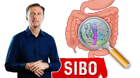 Small Intestinal Bacterial Overgrowth(SIBO) Steals Your Nutrients – Dr.Berg