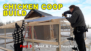 Chicken Coop Build Part 3 - Roofing & Final Touches