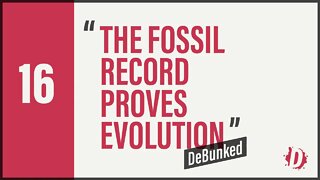 D16 | DeBunked | The Fossil Record Proves Evolution