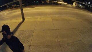 Video shows man vandalizing Fairview Park nonprofit