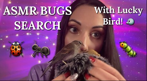 “The Bugs” ASMR trigger - Mouth Sounds, Plucking, Soft Whispers for lots of Tingles