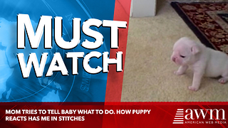 Mom Tries To Tell Baby What To Do. How Puppy Reacts Has Me In Stitches