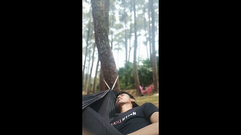 Daily Vlog Picnic To Pinus Forest