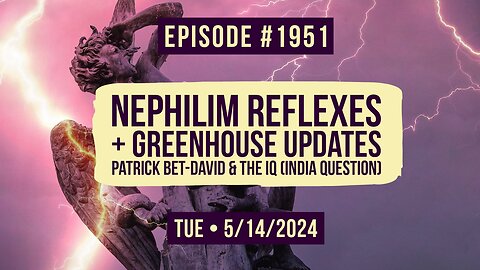 Owen Benjamin | #1951 Nephilim Reflexes + Greenhouse Updates, Patrick Bet-David & The IQ (India Question)