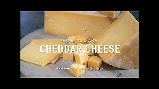 How to Make Cheddar Cheese