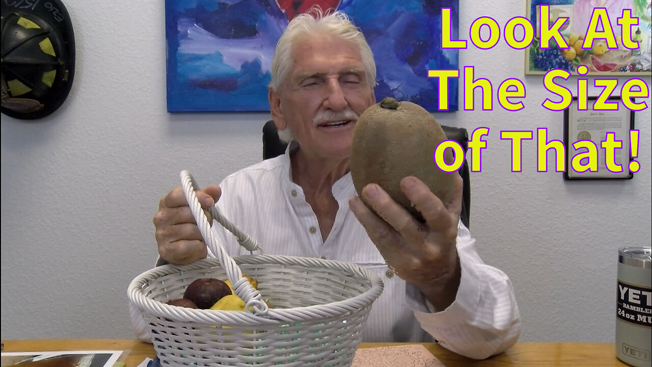 Dr Morse Q&A Autism, Brain injury and more 657