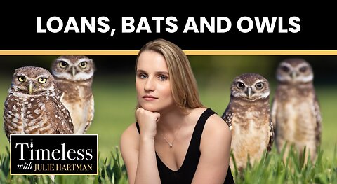 Loans, Bats, and Owls | Timeless with Julie Hartman -- Ep. 40, March 1st, 2023