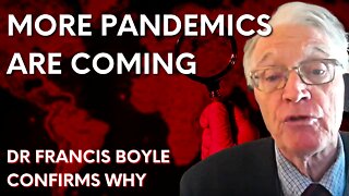 “More pandemics are coming” – bioweapons expert Dr Boyle on WHO Treaty, Biden’s Executive Order
