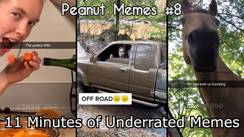Underrated Memes - Peanut Memes #8