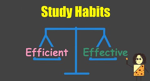 Study Habits: Efficient or Effective?