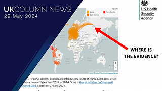 Dust Off The Swine Flu (2009) Playbook, It’s Bird Flu Time - UK Column News