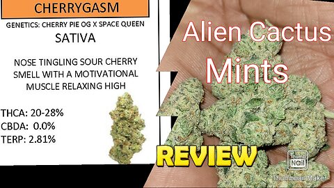S6 Episode 8 Cherrygasm + Alien Cactus Mints Strain Review